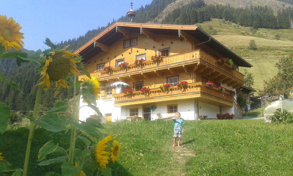 Biobergbauernhof Brandenau Daire Taxenbach Oda fotoğraf