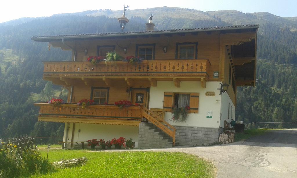 Biobergbauernhof Brandenau Daire Taxenbach Oda fotoğraf