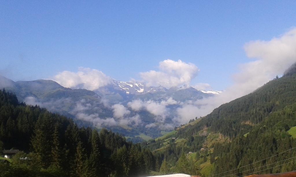 Biobergbauernhof Brandenau Daire Taxenbach Oda fotoğraf