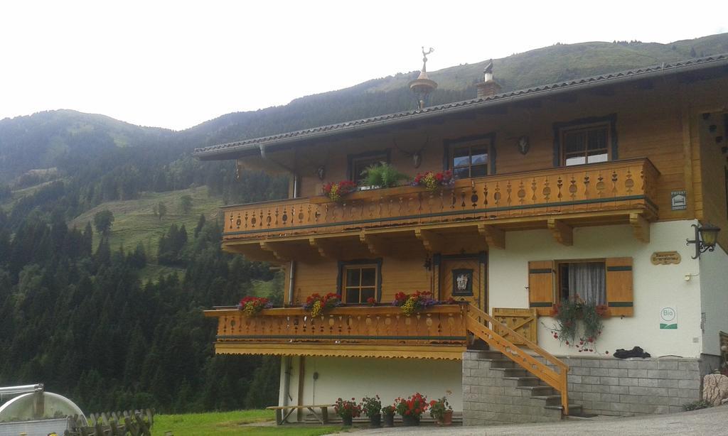 Biobergbauernhof Brandenau Daire Taxenbach Oda fotoğraf