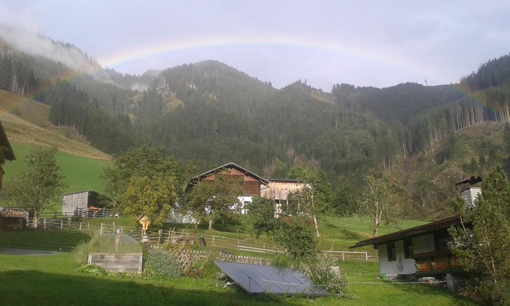 Biobergbauernhof Brandenau Daire Taxenbach Oda fotoğraf