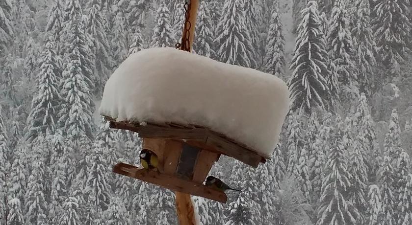 Biobergbauernhof Brandenau Daire Taxenbach Oda fotoğraf