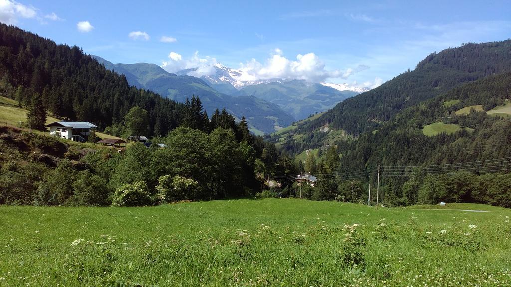 Biobergbauernhof Brandenau Daire Taxenbach Dış mekan fotoğraf