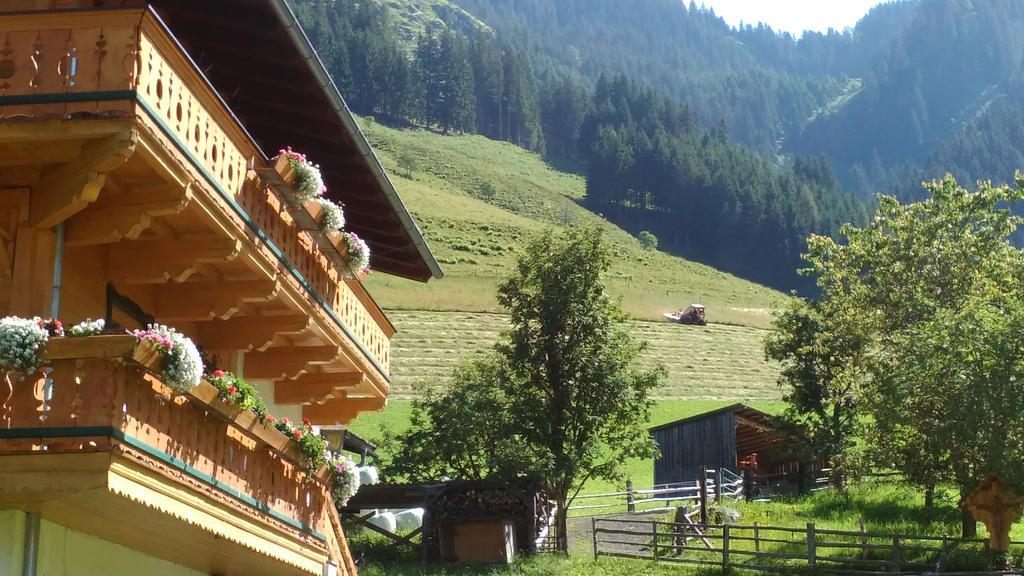 Biobergbauernhof Brandenau Daire Taxenbach Dış mekan fotoğraf