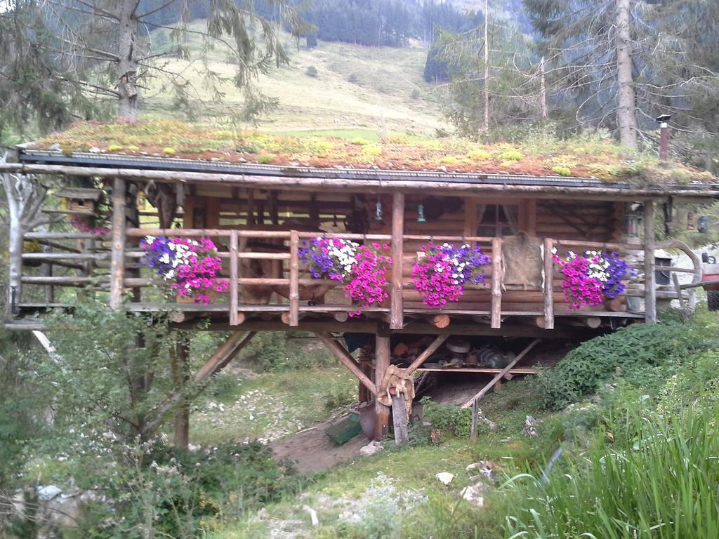 Biobergbauernhof Brandenau Daire Taxenbach Dış mekan fotoğraf