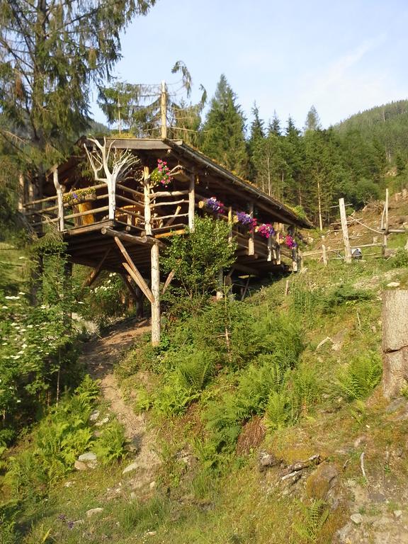 Biobergbauernhof Brandenau Daire Taxenbach Dış mekan fotoğraf