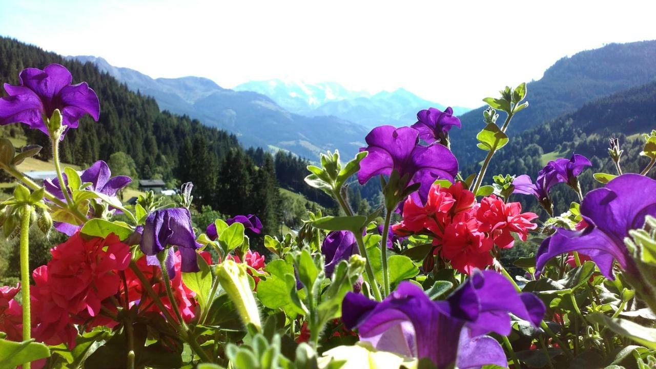 Biobergbauernhof Brandenau Daire Taxenbach Dış mekan fotoğraf